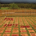 poolparty odena13